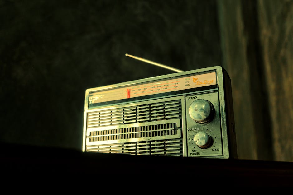 Chart showing radio listener demographics